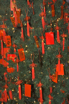 中國(guó)新年紅包樹(shù)與中國(guó)北京