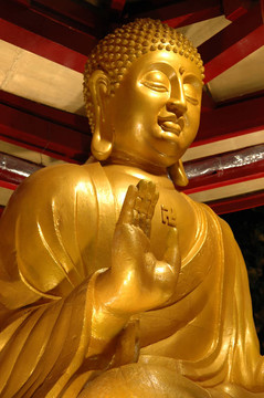 金菩薩