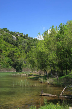 夏天的風(fēng)景