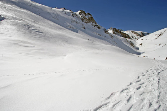 足跡在雪中