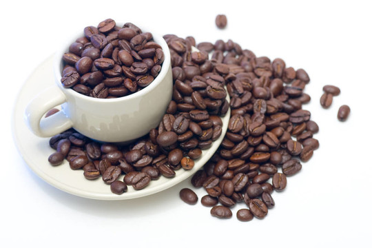 杯豆