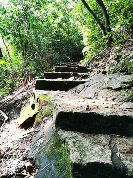 筆架山公園登山道