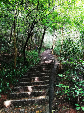 深圳筆架山森林公園