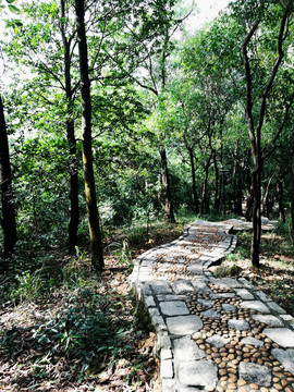 筆架山公園登山道