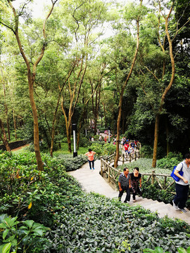 筆架山森林公園景區(qū)