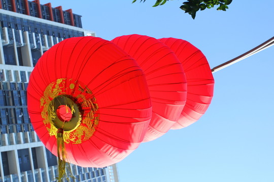 大紅燈籠