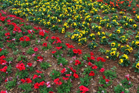 城市花草園藝