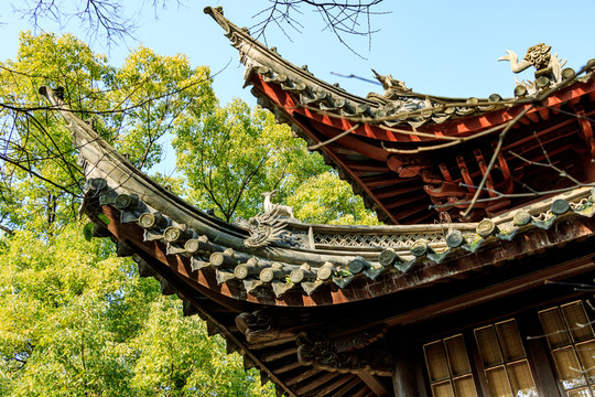 屋檐屋角飛檐斗拱 江南木建筑