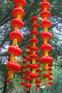 大紅燈籠