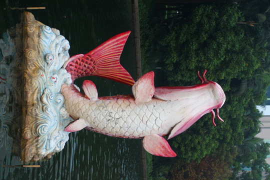 鯉魚雕塑