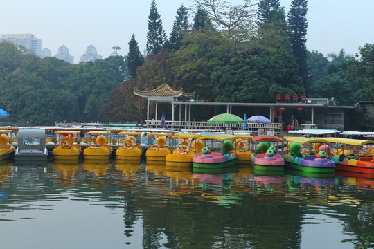 公園劃船