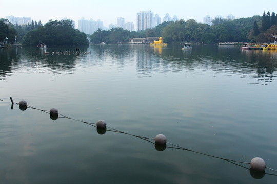 公園小湖