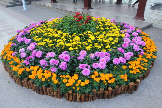城市花草園藝