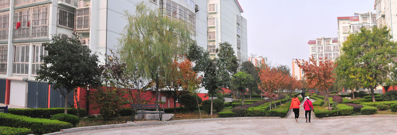 小區(qū)風(fēng)景  小區(qū)綠化
