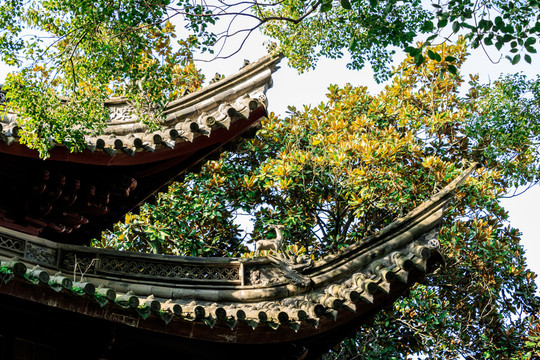 寧波天一閣 藏書樓 古建筑