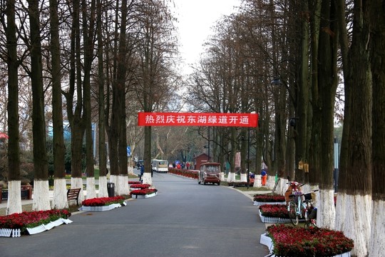 東湖綠道風景