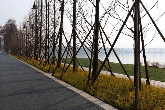 東湖綠道風(fēng)景
