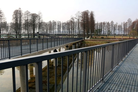 東湖綠道風景
