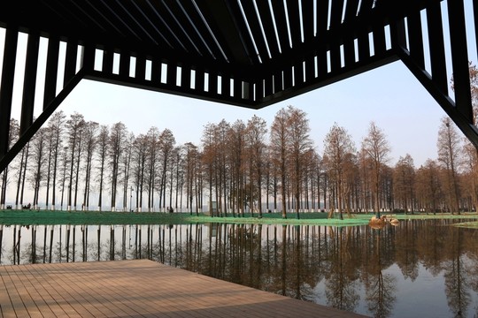 東湖綠道風(fēng)景