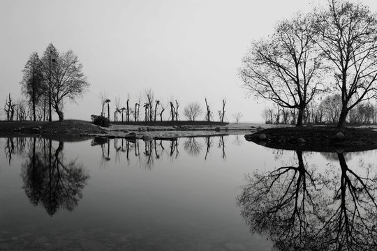 東湖綠道風(fēng)景