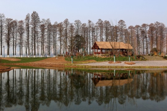 東湖綠道風景