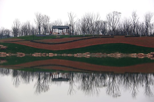 東湖綠道風景
