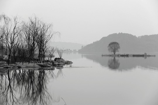東湖綠道風(fēng)景