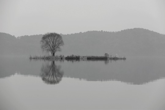 東湖綠道風(fēng)景