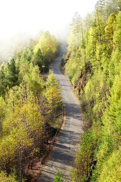 山林公路
