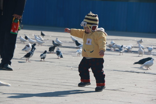 孩子與鴿子