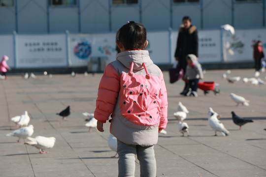 孩子與鴿子