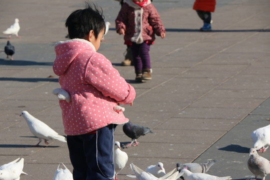 喂鴿子的小孩