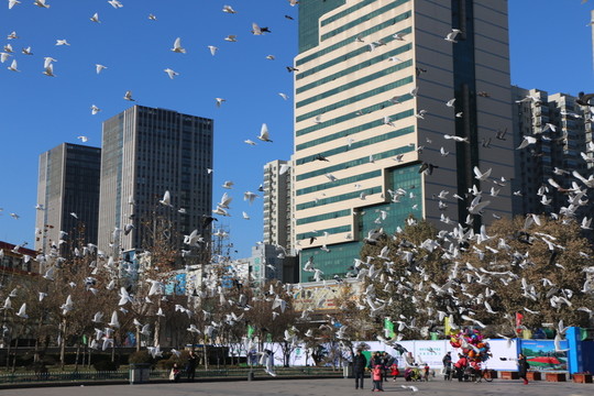 城市風(fēng)光