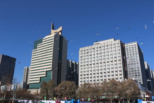 城市建筑