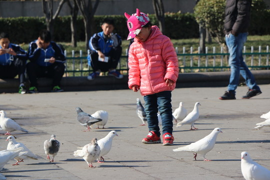 孩子與鴿子