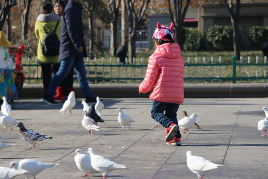 孩子與鴿子