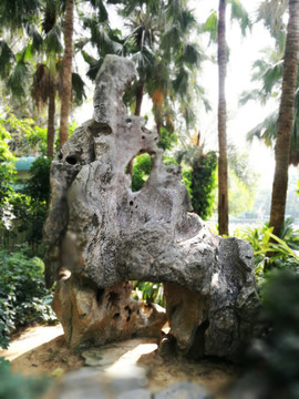 深圳羅湖洪湖公園假山