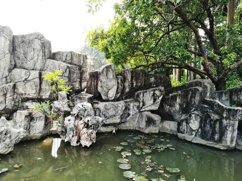 深圳羅湖洪湖公園假山