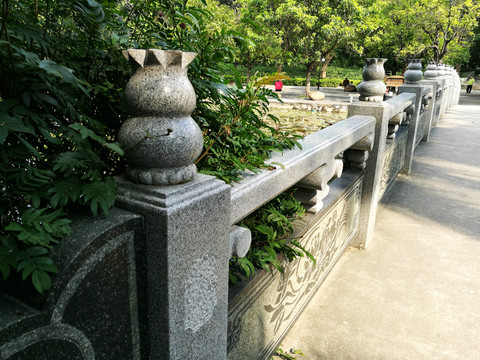 深圳洪湖公園