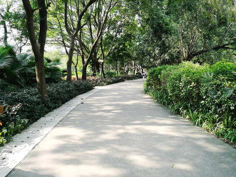 羅湖洪湖公園
