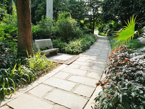 深圳羅湖洪湖公園