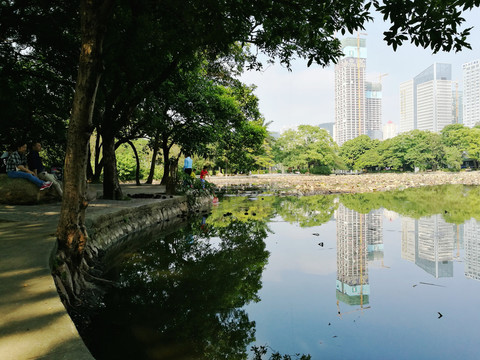 深圳羅湖洪湖公園