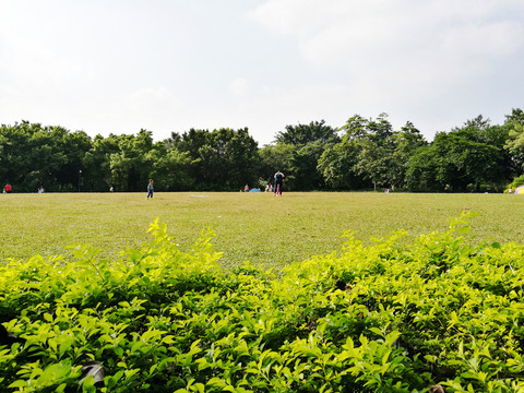 深圳羅湖洪湖公園美景