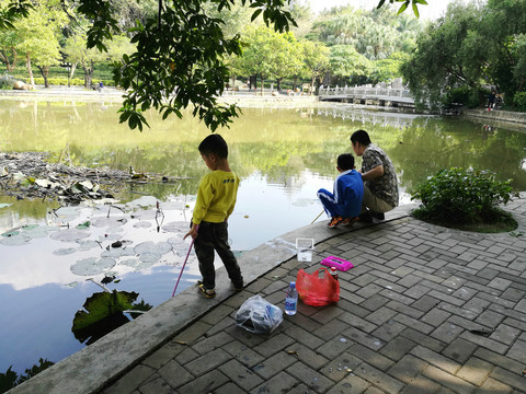 深圳羅湖洪湖公園