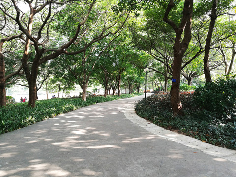 深圳洪湖公園景區(qū)