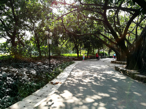 羅湖洪湖公園景區(qū)