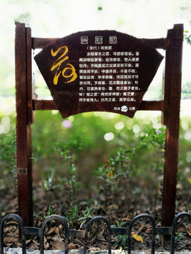 深圳羅湖洪湖公園愛蓮說木刻