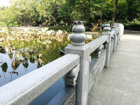 深圳羅湖洪湖公園美景