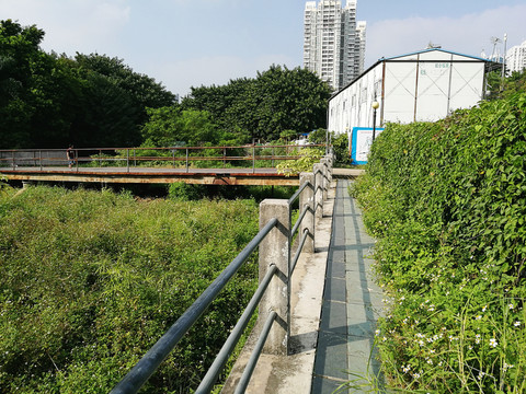 鄉(xiāng)間小路