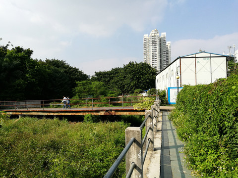 深圳羅湖洪湖公園風(fēng)景
